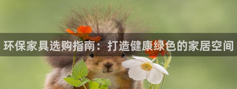 杏耀平台官方网站下载：环保家具选购指南：打造健康绿色的家居空