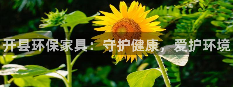 杏耀平台测速地址