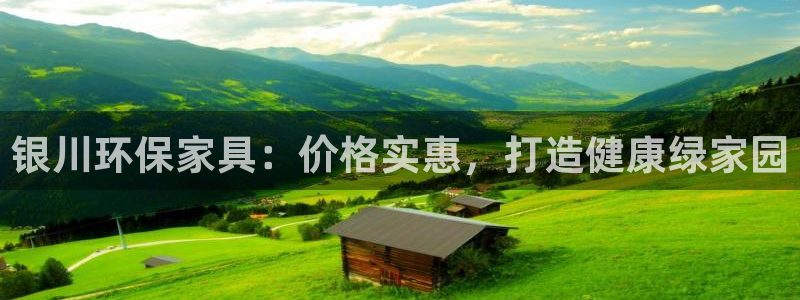 杏耀登录测速：银川环保家具：价格实惠，打造健康绿家园
