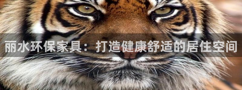 杏耀平台首页