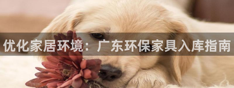 杏耀平台登陆地址：优化家居环境：广东环保家具入库指南