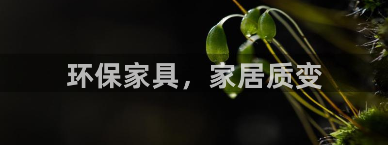 杏耀平台登陆地址