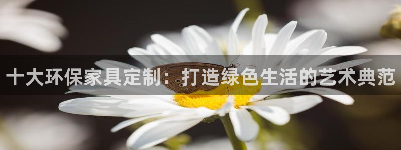 杏耀平台得专用通道：十大环保家具定制：打造绿色生活的艺术典范