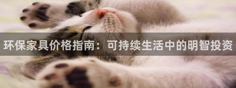 杏耀平台娱乐登陆：环保家具价格指南：可持续生活中的明智投资