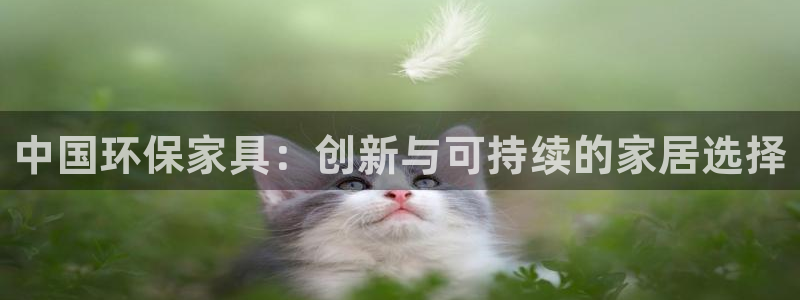 杏耀登陆：中国环保家具：创新与可持续的家居选择