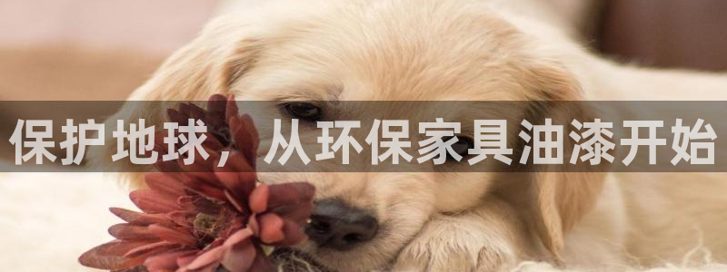 杏耀平台地址