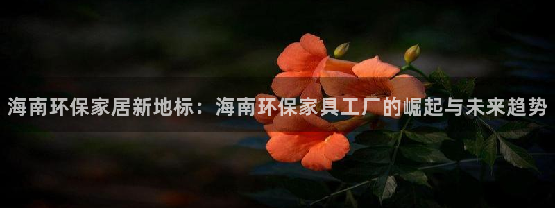 杏耀总代：海南环保家居新地标：海南环保家具工厂的崛起与未来趋
