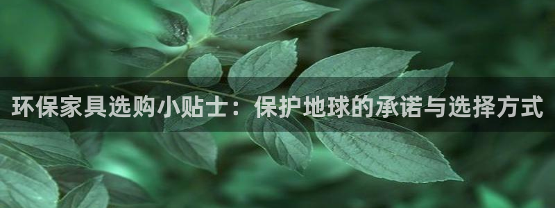 杏耀注册平台官网：环保家具选购小贴士：保护地球的承诺与选择方