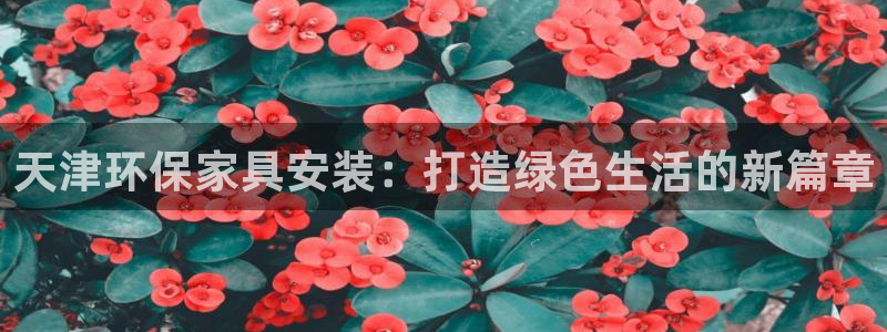 杏耀登入测速：天津环保家具安装：打造绿色生活的新篇章