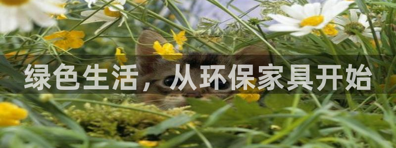 杏耀平台正规么：绿色生活，从环保家具开始