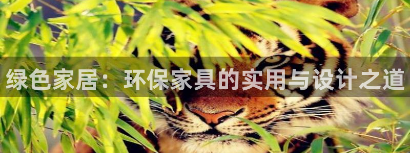 杏耀平台测