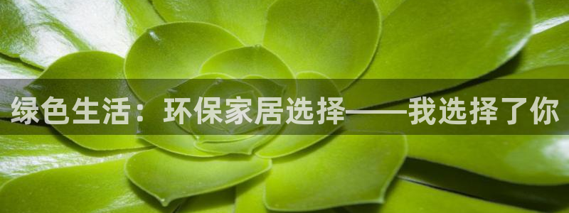 杏耀平台在线注册：绿色生活：环保家居选择——我选择了你