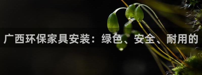 杏耀平台代理怎么赚钱的
