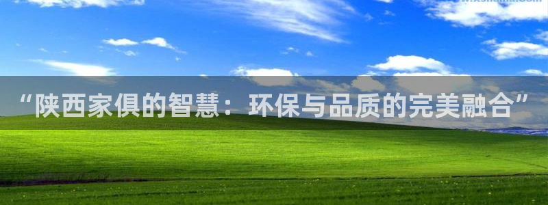 杏耀官网网站中心：“陕西家俱的智慧：环保与品质的完美融合”