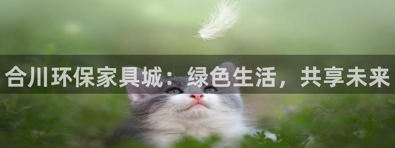 杏耀代理连接：合川环保家具城：绿色生活，共享未来