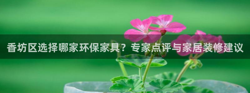 杏耀注册中心：香坊区选择哪家环保家具？专家点评与家居装修建议