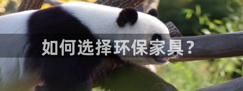杏耀代理登录中心：如何选择环保家具？
