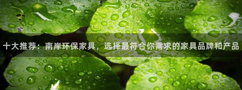 杏耀登陆电脑线路测速：十大推荐：南岸环保家具，选择最符合你需