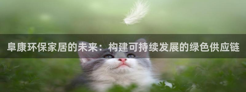杏耀平台代理注册多少钱一年：阜康环保家居的未来：构建可持续发