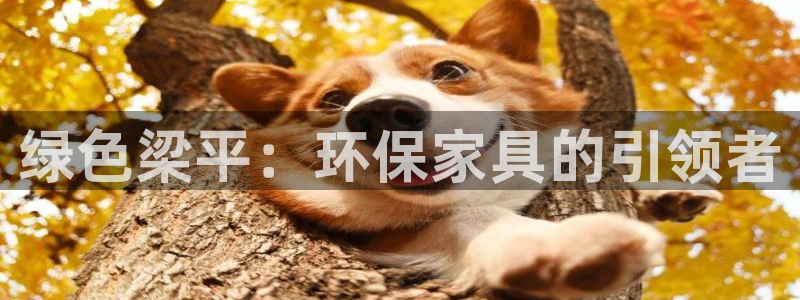 杏耀代理登录中心：绿色梁平：环保家具的引领者