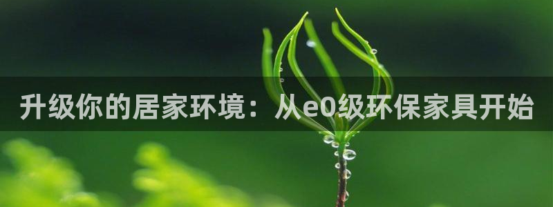 杏耀平台代理注册：升级你的居家环境：从e0级环保家具开始