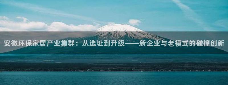 杏耀总代：安徽环保家居产业集群：从选址到升级——新企业与老模