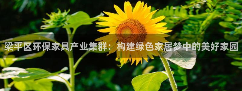 杏耀测速注册：梁平区环保家具产业集群：构建绿色家居梦中的美好