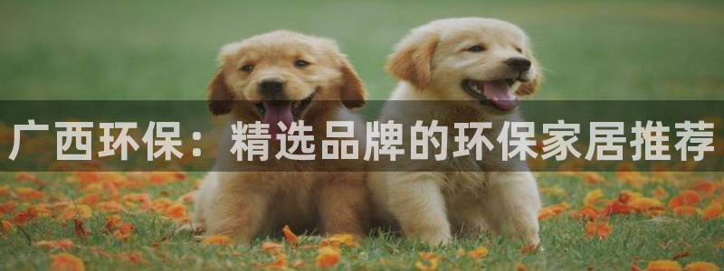 杏耀平台注册登录：广西环保：精选品牌的环保家居推荐