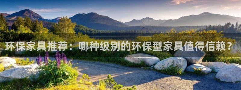 杏耀平台手机登录：环保家具推荐：哪种级别的环保型家具值得信赖