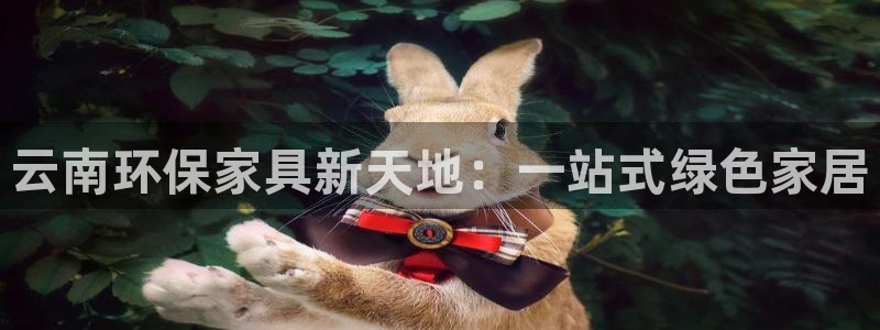 杏耀代理注册：云南环保家具新天地：一站式绿色家居