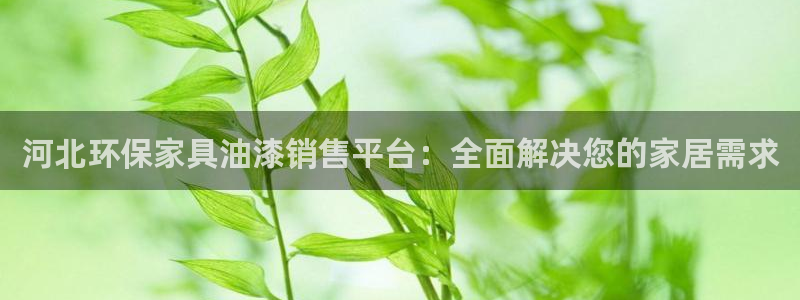 杏耀平台手机下载：河北环保家具油漆销售平台：全面解决您的家居