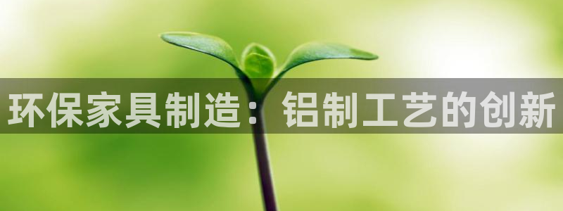 杏耀平台招商的流程：环保家具制造：铝制工艺的创新