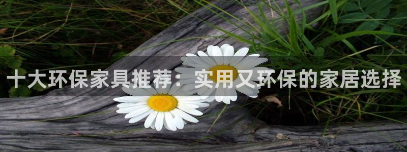 杏耀软件：十大环保家具推荐：实用又环保的家居选择