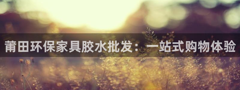 杏耀官方：莆田环保家具胶水批发：一站式购物体验