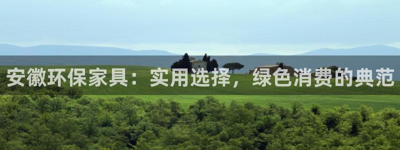 杏耀平台娱乐：安徽环保家具：实用选择，绿色消费的典范
